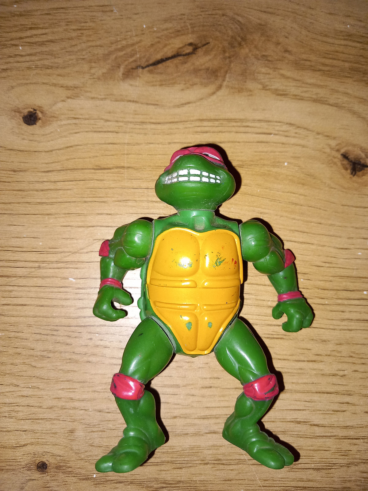 Tortue ninja