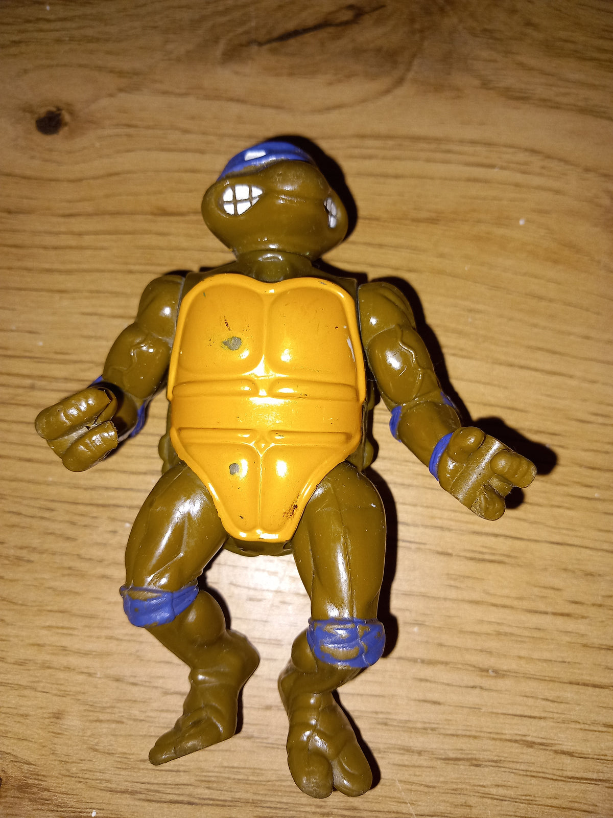 Tortue ninja