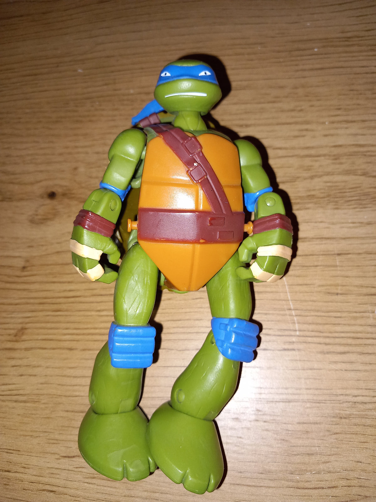 Tortue ninja