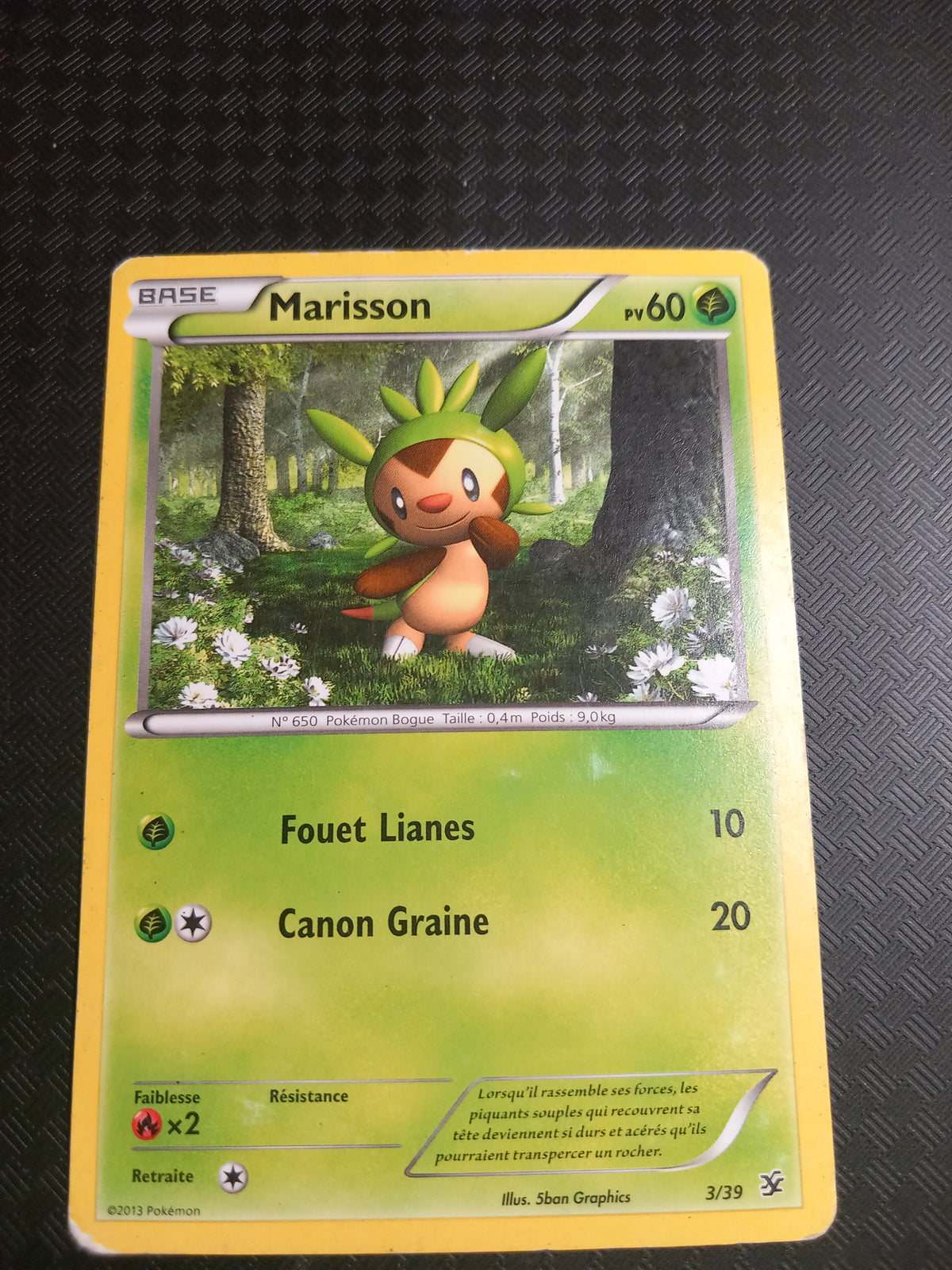 Bienvenue à kalos