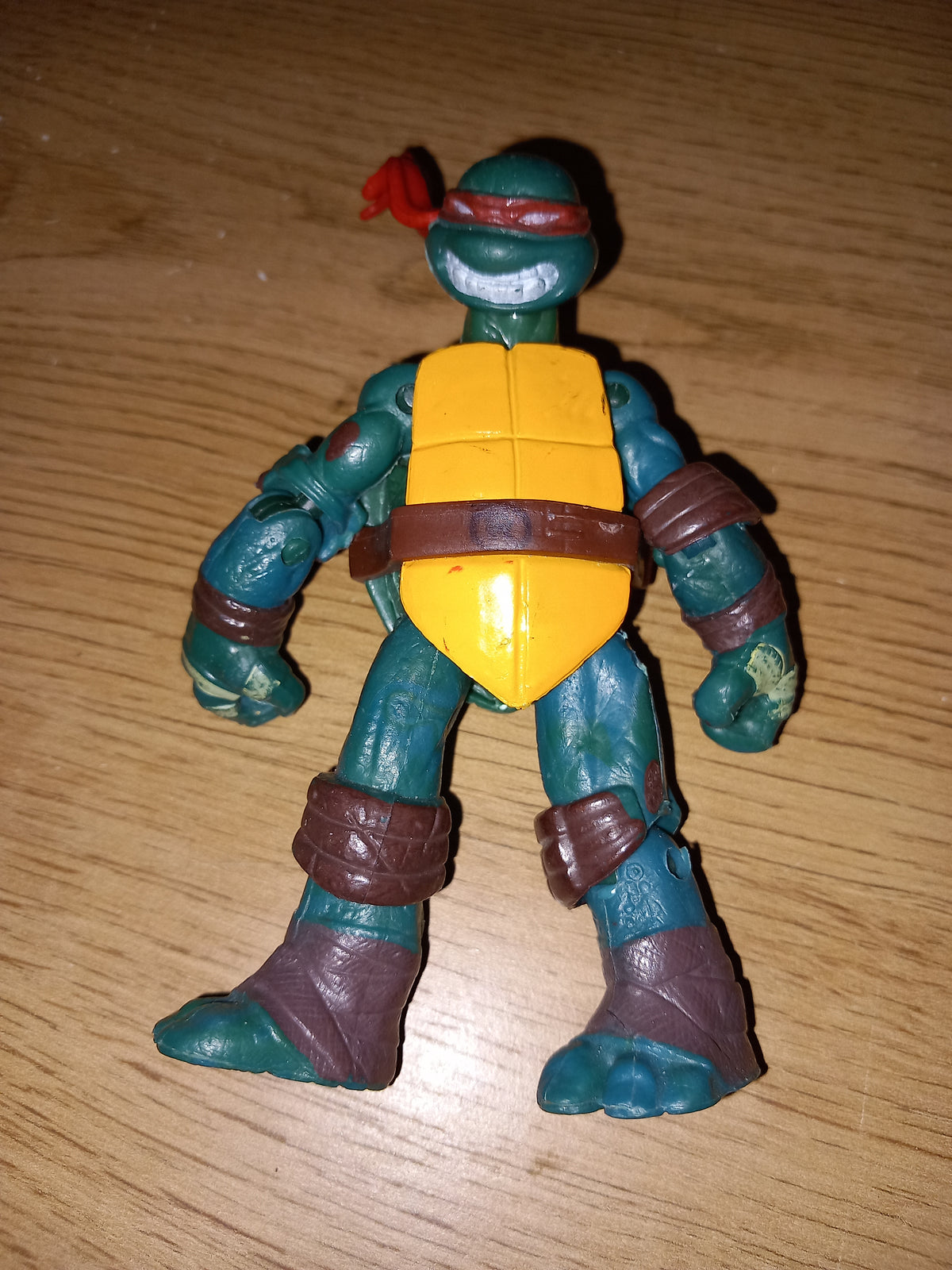 Tortue ninja