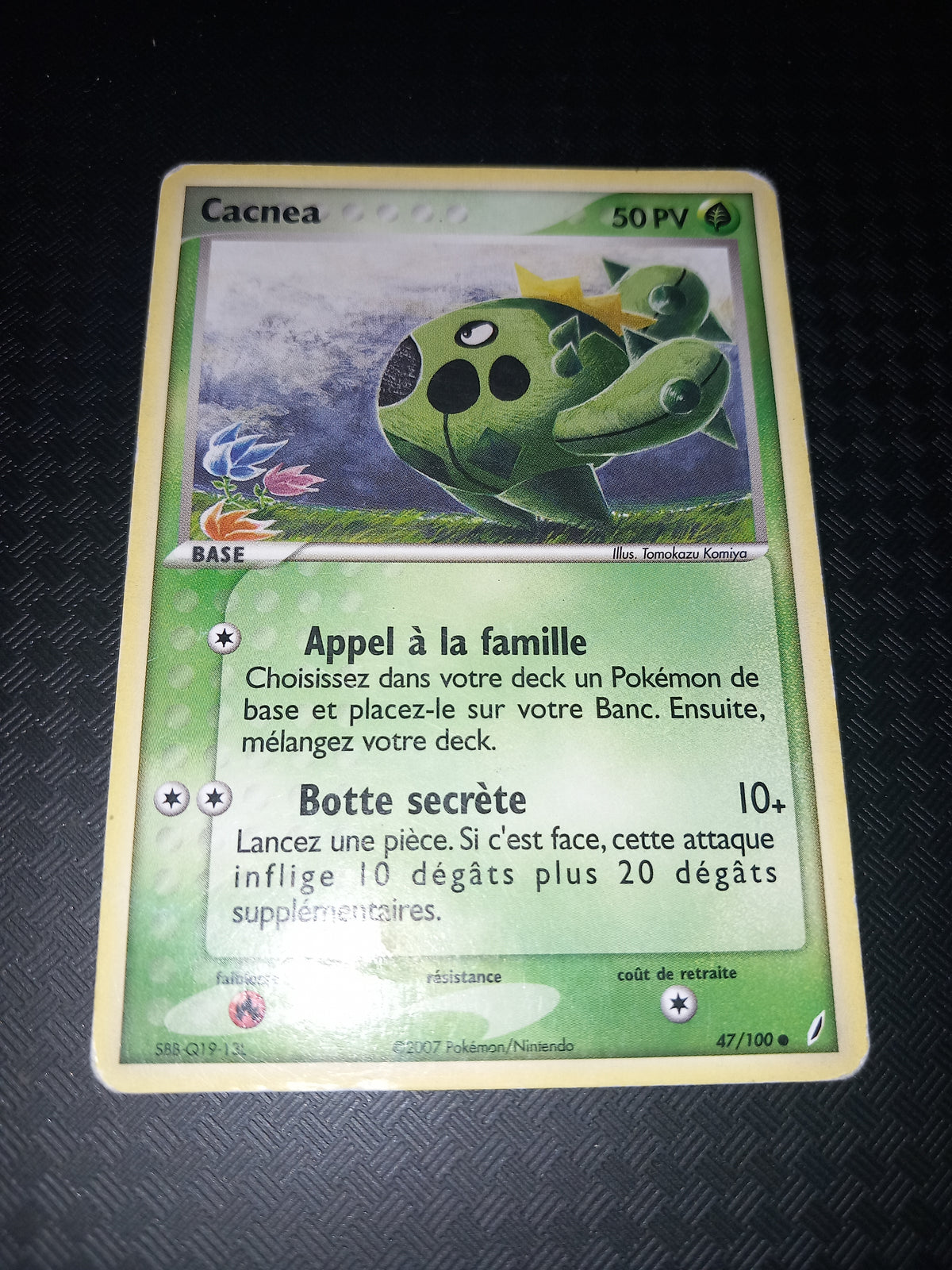 Gardien de cristal