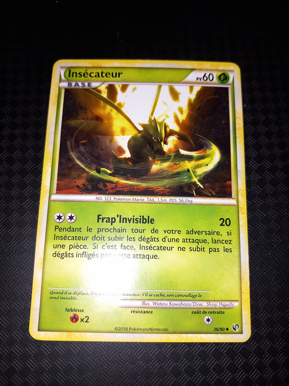Indomptable