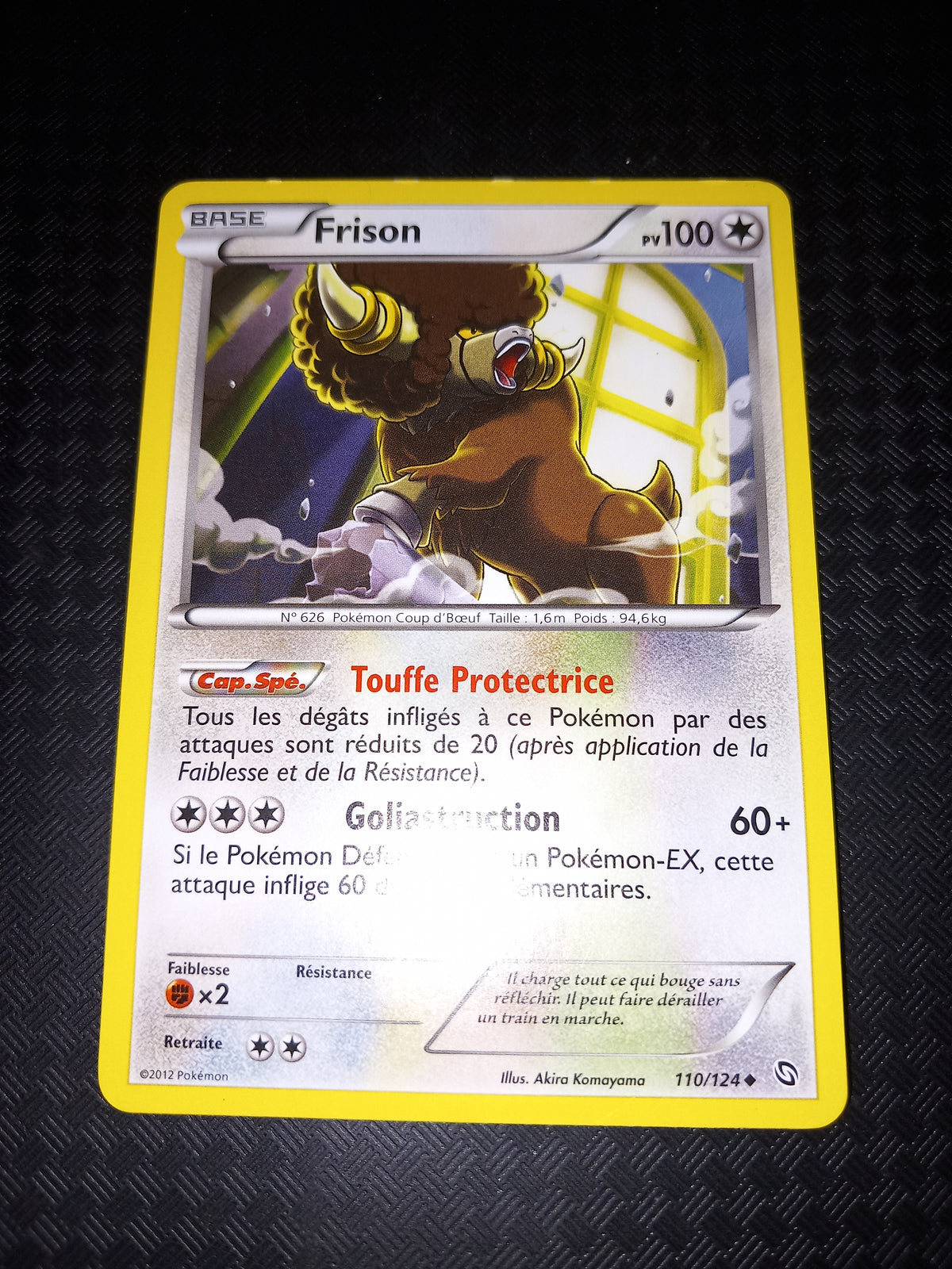 Dragons exaltés